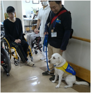 車椅子使用者の前に介助犬訓練師が、介助犬をお座りさせている様子