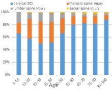 Percentage of SCIs by injured level (by age)