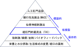 神経因性大腸機能障害の治療ピラミッド